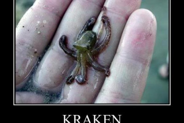 Kraken ссылка krakentor site